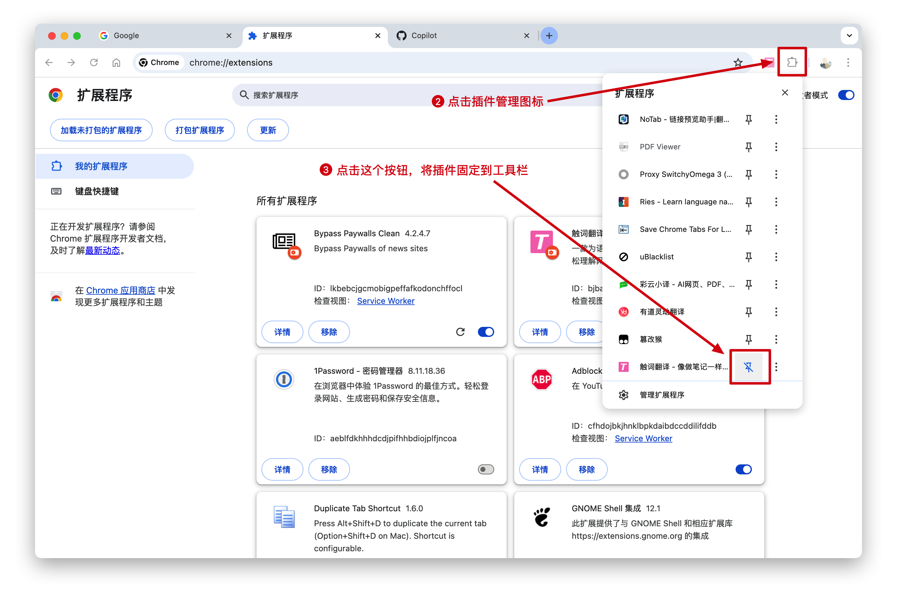 将触词翻译插件固定到浏览器工具栏的示例
